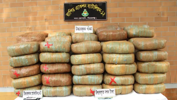 ২১৬ কেজি গাঁজাসহ দুজন আটক