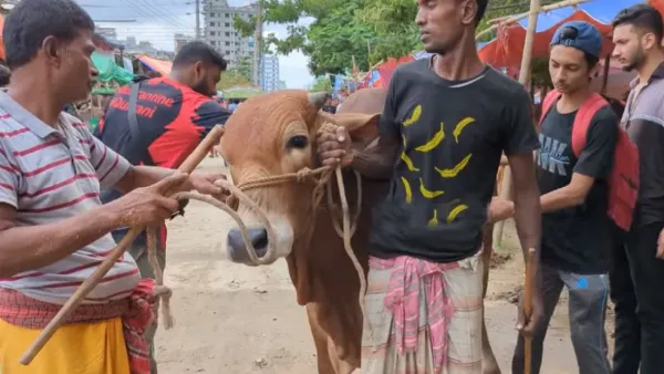 আফতাবনগরে পশুরহাট বসবে না: আপিল বিভাগ