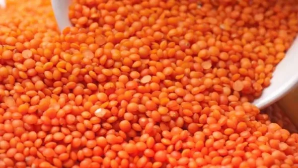 ৬০ কোটি টাকার মসুর ডাল কিনবে সরকার