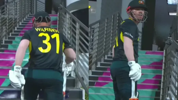 এ কেমন ভুল করলেন ওয়ার্নার!