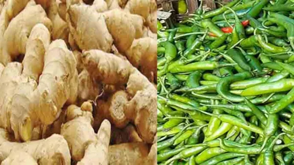 ‘এক রাতের ব্যবধানে এত টাকা বাড়বে তা অবিশ্বাস্য’