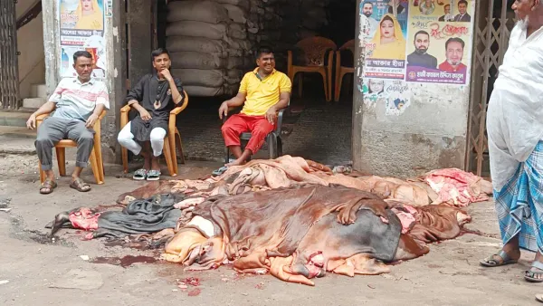 লাখ টাকা গরুর চামড়া ৫০০ টাকায় বিক্রি