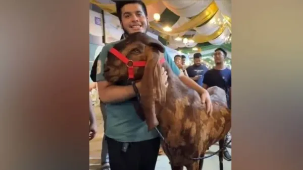 ছাগলকাণ্ডে ভাইরাল ওই ছেলে আমার সন্তান নয়: এনবিআর কর্মকর্তা