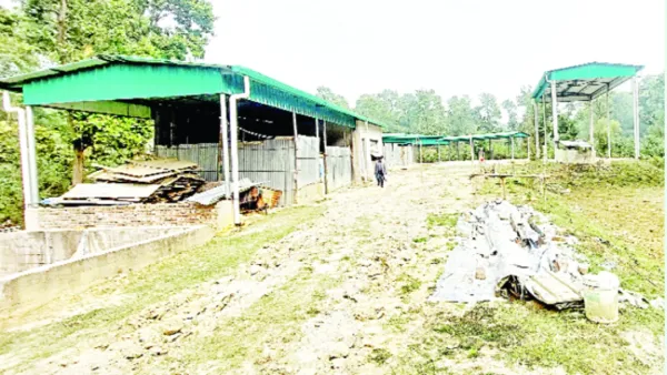 বন বিভাগের বাধায় বন্ধ ১২ প্রকল্পের কাজ