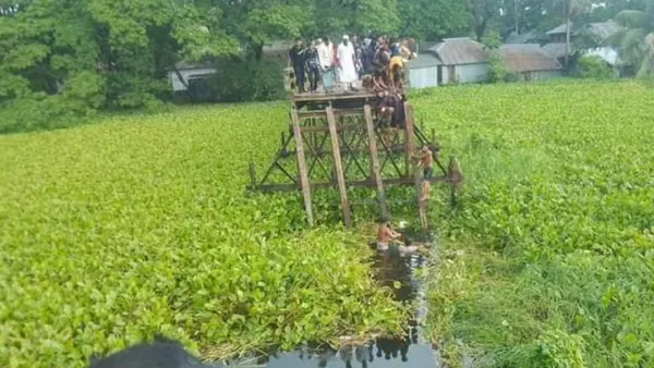 সেতু ভেঙে বিয়ের মাইক্রোবাস খালে, নিহত ৯