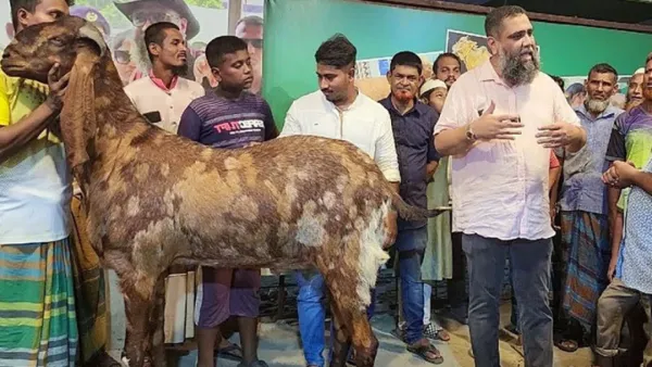 সাদিক অ্যাগ্রো উচ্ছেদ করতে পুলিশ চেয়েছে ডিএনসিসি