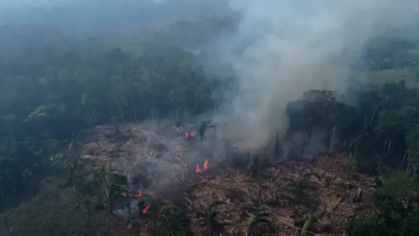 দাবানলে পুড়ছে অ্যামাজন