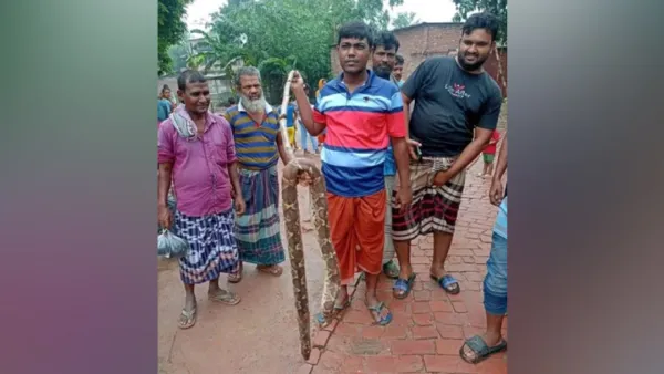 ছুটির পর শ্রেণিকক্ষে ‘ইন্ডিয়ান পাইথন’ দেখল শিক্ষার্থীরা