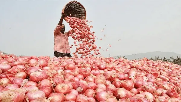ভারত শুল্ক প্রত্যাহার করলে ৫০ টাকার নিচে নামবে পেঁয়াজের কেজি