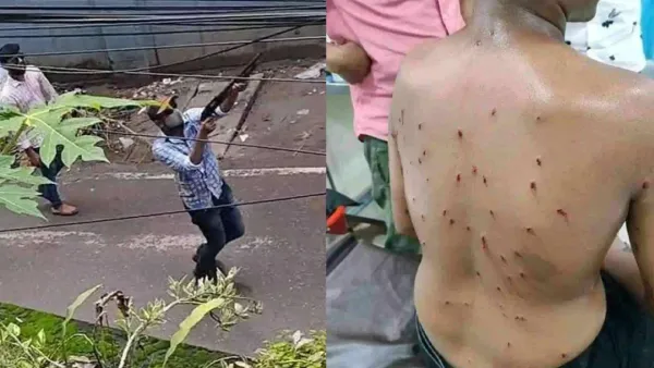 কুমিল্লায় শিক্ষার্থীদের মিছিলে যুবলীগ-ছাত্রলীগের গুলি