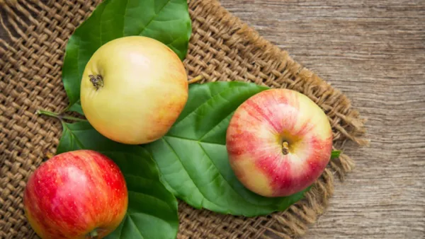 প্রতিদিন ১টি আপেল খাবেন যে কারণে