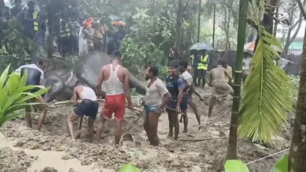 টেকনাফে বিদ্যুৎস্পৃষ্ট হয়ে বন্যহাতির মৃত্যু