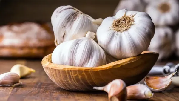 রক্তে কোলেস্টেরল মাত্রা কমাবে কাঁচা রসুন