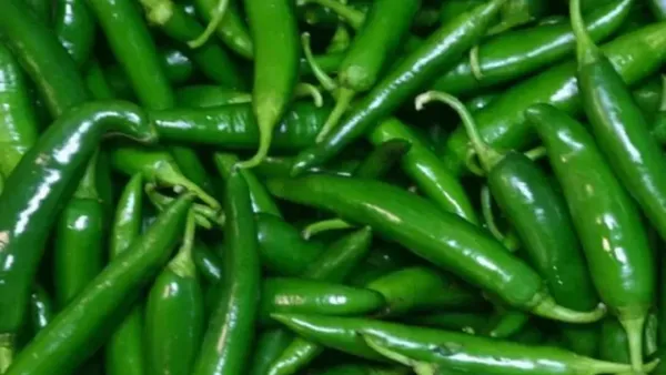 চট্টগ্রামে কাঁচা মরিচের কেজি হাজার টাকা