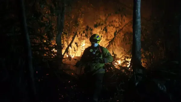 ভয়াবহ দাবানল, বলিভিয়ায় জরুরি অবস্থা ঘোষণা