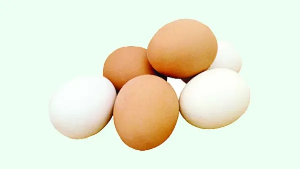 আমদানিতেও নাগালের বাইরে ডিমের দাম