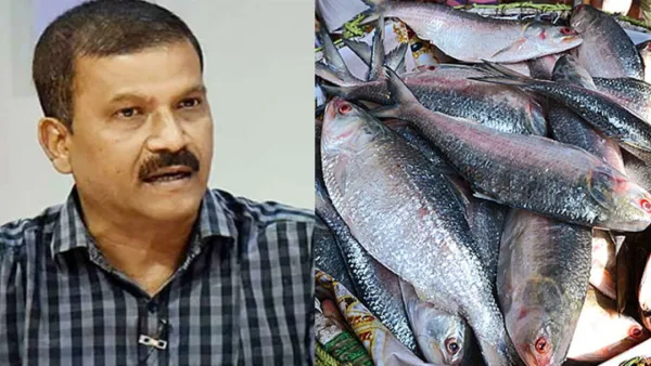 ভারতে ইলিশ রপ্তানি নিয়ে আসিফ নজরুলের পুরোনো পোস্ট ভাইরাল