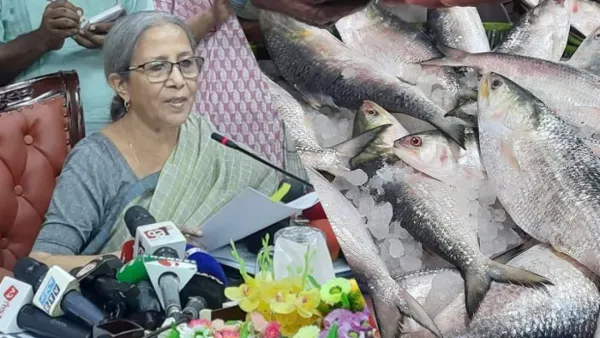 আমি এখনো আগের সিদ্ধান্তেই আছি: ভারতে ইলিশ রপ্তানি প্রসঙ্গে উপদেষ্টা