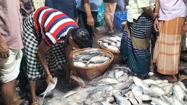 রেকর্ড দামে বিক্রি হচ্ছে ইলিশ
