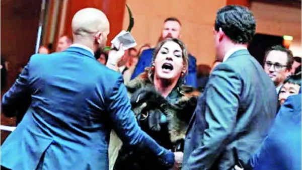 আপনি আমার রাজা নন : সিনেটর