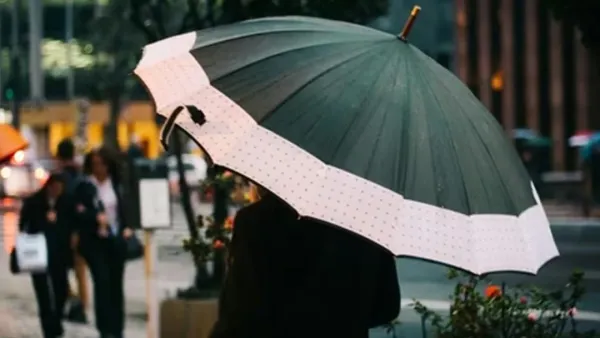 ছুরির আঘাত থেকে বাঁচাবে ছাতা