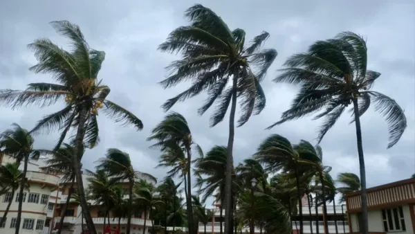 দানার প্রভাবে পশ্চিমবঙ্গের দুই জেলায় প্রবল ঝড়বৃষ্টি