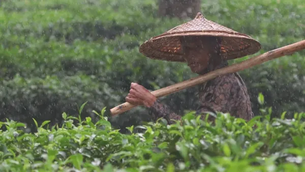 চার বিভাগে বৃষ্টির আভাস