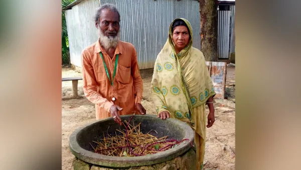 এতিমের গরু বিক্রি করে অর্থ লুটে নিলেন বিএনপি নেতারা