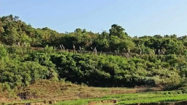 টেকনাফ সীমান্তে রাতভর মর্টারশেল বিস্ফোরণের বিকট শব্দ