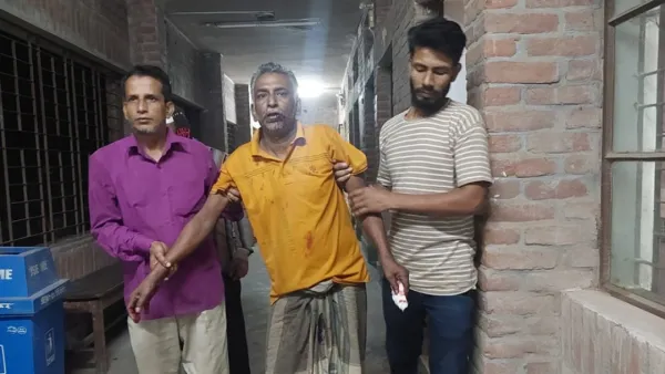 জাহাঙ্গীরনগর বিশ্ববিদ্যালয়ে শিয়ালের আক্রমণে আহত ৩