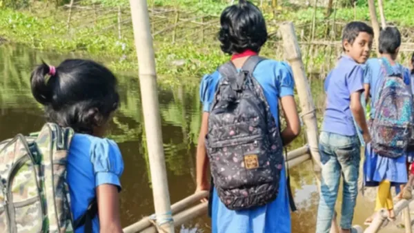 সাটুরিয়ায় শিক্ষার্থীদের পারাপারে ঝুঁকিপূর্ণ বাঁশের সাঁকো