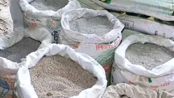 রাজশাহীতে সিন্ডিকেটের হাতে জিম্মি সার 