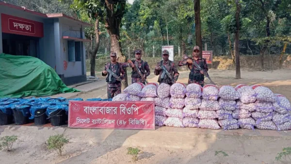 ভারত থেকে চোরাই পথে আসছে যেসব পণ্য