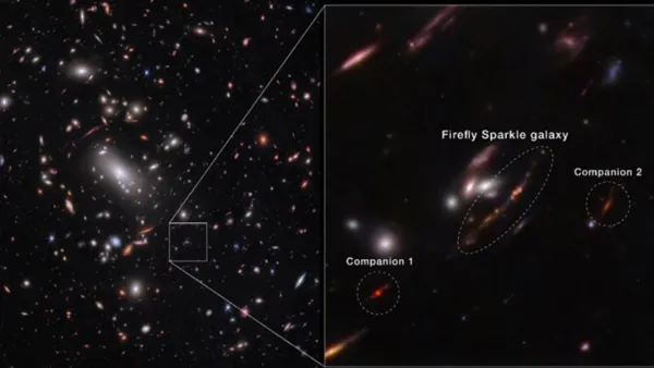 নেচার সাময়িকীতে প্রকাশিত হলো ড. লামিয়া মওলার গবেষণাপত্র