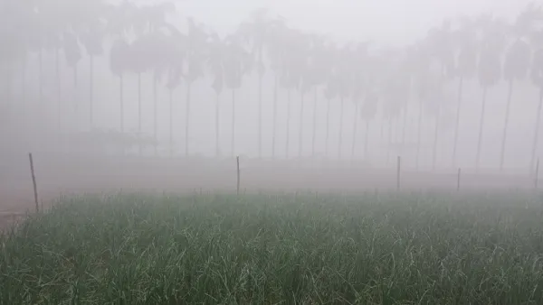 কুয়াশা ও ঠাণ্ডা বাতাসে জবুথবু ছিন্নমূল মানুষ
