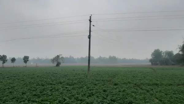 পঞ্চগড়ে ১৮ কিলোমিটার বেগে বইছে বাতাস