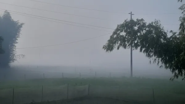 পঞ্চগড়ের তাপমাত্রা ৭ ডিগ্রি, তীব্র শীতে জনজীবনে দুর্ভোগ