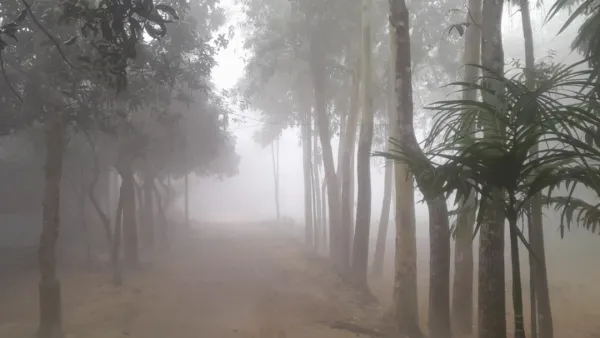 পঞ্চগড়ে দুইদিন ধরে তাপমাত্রা ১০ ডিগ্রির ঘরে