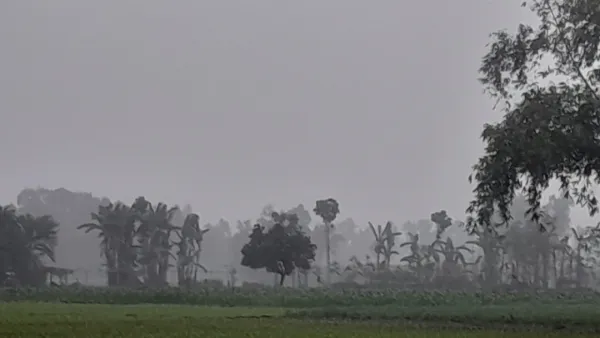 পঞ্চগড় মাঘের তীব্র শীতে স্থবির, বইছে মৃদু শৈত্যপ্রবাহ