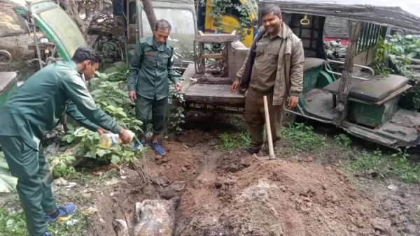 বনকর্মীদের ওপর হরিণ শিকারীদের হামলার চেষ্টা