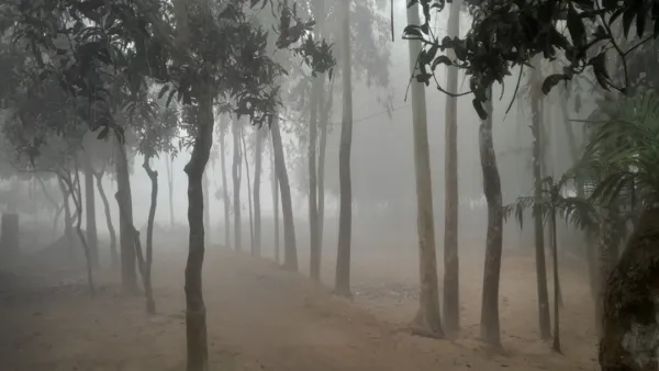 পঞ্চগড়ে তাপমাত্রা ১০ ডিগ্রিতে