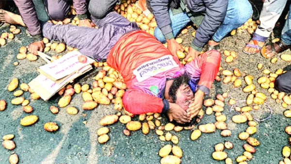 রাজশাহীতে আলু ছিটিয়ে কৃষকের সড়ক অবরোধ