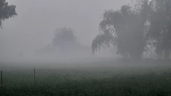 ঘন কুয়াশায় ঢেকে আছে পঞ্চগড়