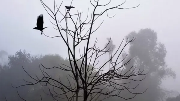 মৌসুমের সর্বনিম্ন তাপমাত্রায় কাঁপছে শ্রীমঙ্গল 