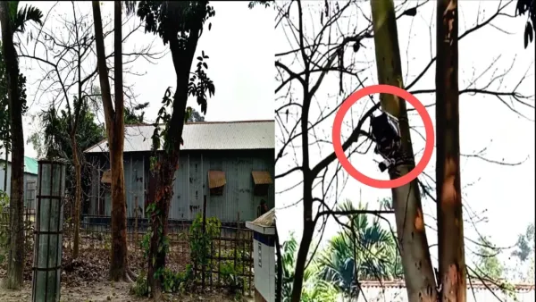 অবশেষে সীমান্ত থেকে সিসিটিভি ক্যামেরা সরালো বিএসএফ