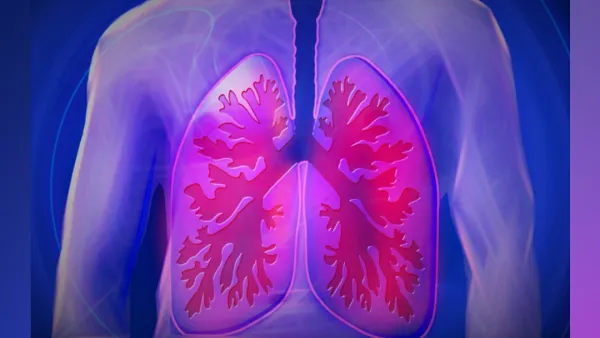 এক মাস রোজা রাখার উপকারিতা 