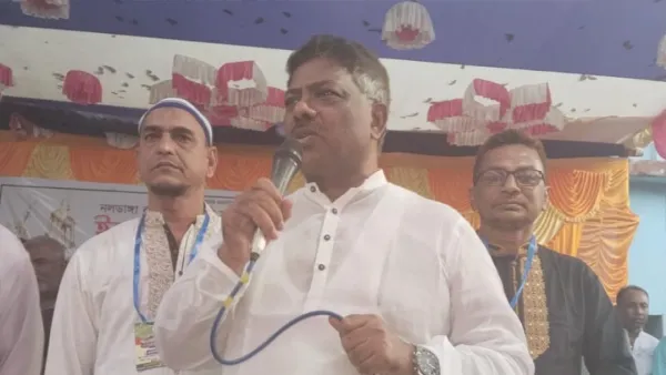 অন্তর্বর্তী সরকারকে ব্যর্থ প্রমাণ করতে নানা ষড়যন্ত্র হচ্ছে: দুলু