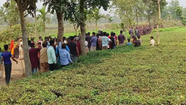 পঞ্চগড়ে বাংলাদেশি যুবককে গুলি করে হত্যা করেছে বিএসএফ 