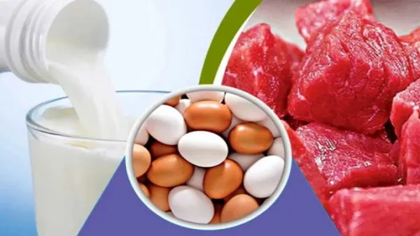 রমজানে সুলভমূল্যে মাংস-ডিম-দুধ বিক্রির পরিধি বাড়ল