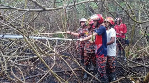 সুন্দরবনের আগুন নিয়ন্ত্রণে, তদন্তে কমিটি